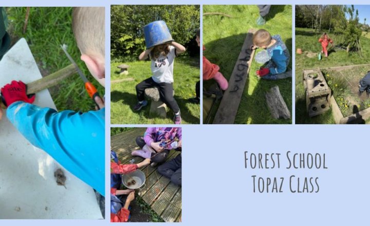 Image of Forest School - Topaz