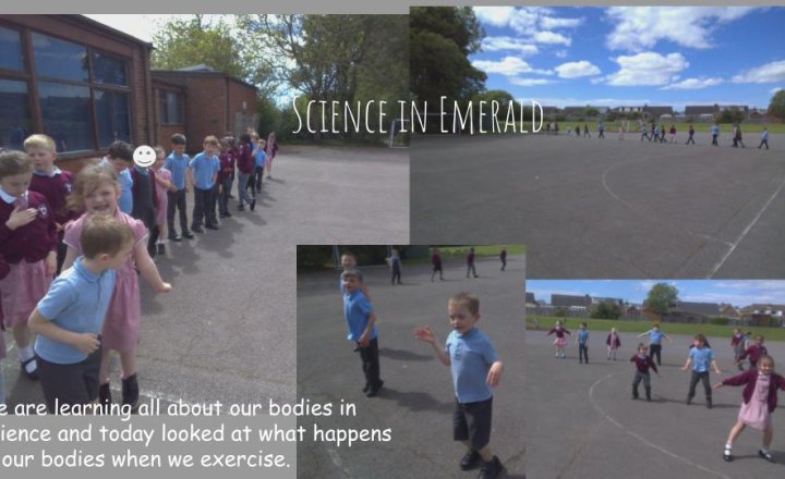 Image of Exercise - Year One and Two Science 