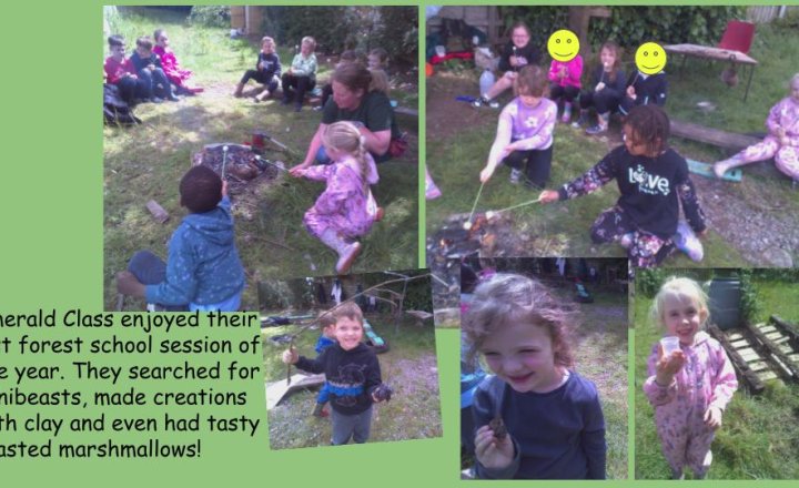 Image of Forest School - Year 1 and 2 