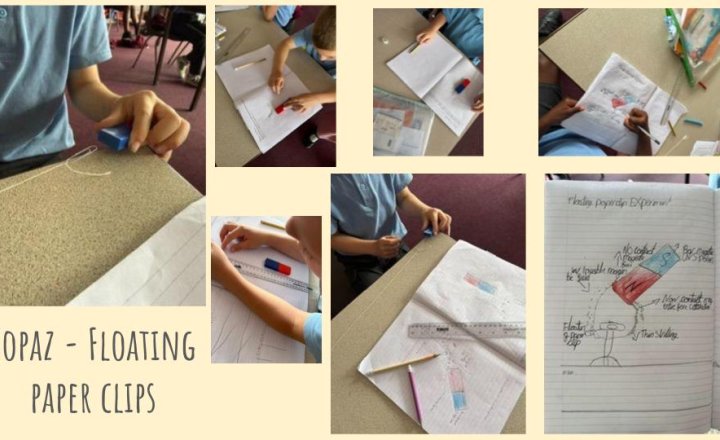 Image of Floating paper clips - Year 3/4 Science 