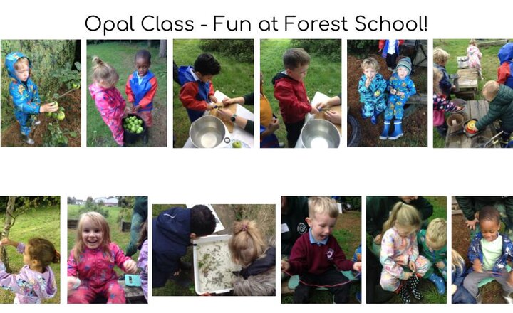 Image of Forest School - Opal 