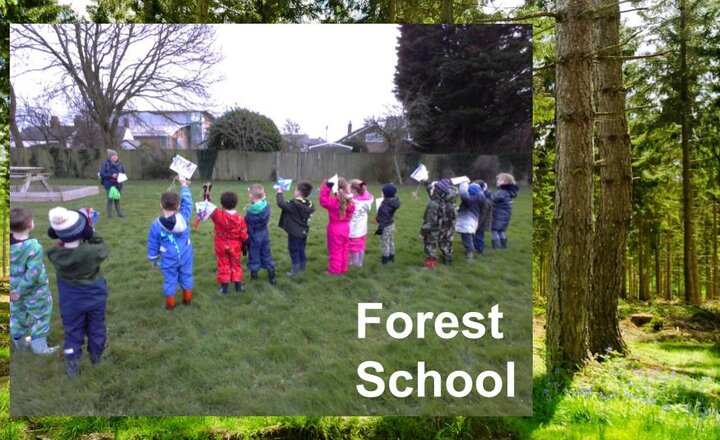 Image of Forest School