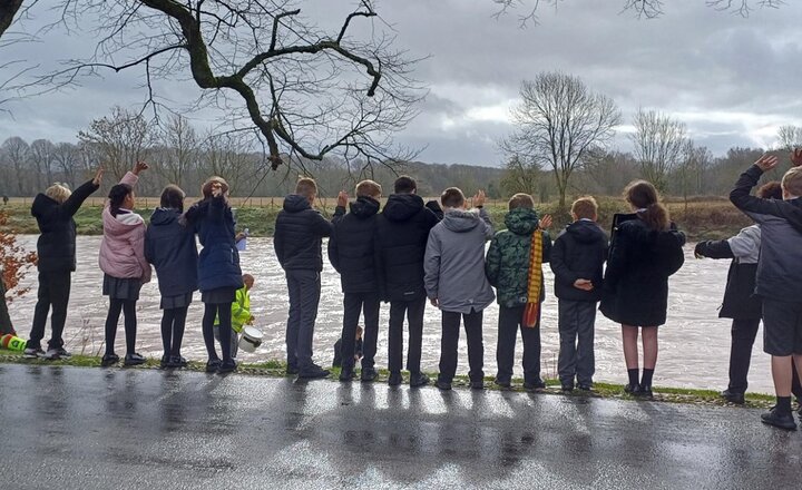 Image of Trout Egg Release 