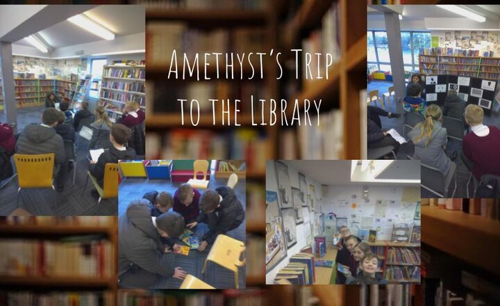 Image of Amethyst's Trip to the Library - Year Six Reading Week 