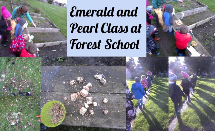 Image of Forest School - Year One and Two 