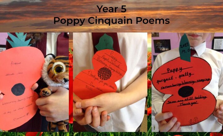 Image of Remembrance Day Poppies - Year Five 