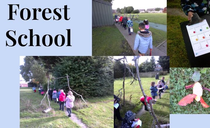 Image of Senses Hunt - Year One Forest School