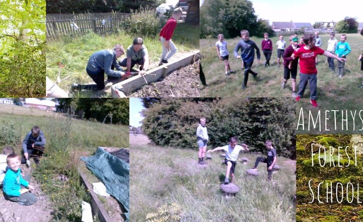 Image of Forest School - Year Six Science 