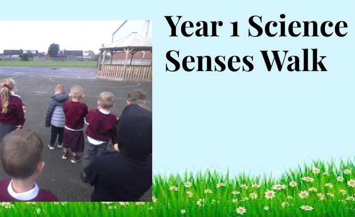 Image of Senses - Year One Science 
