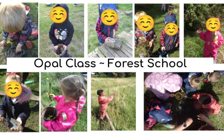 Image of Forest School - EYFS 