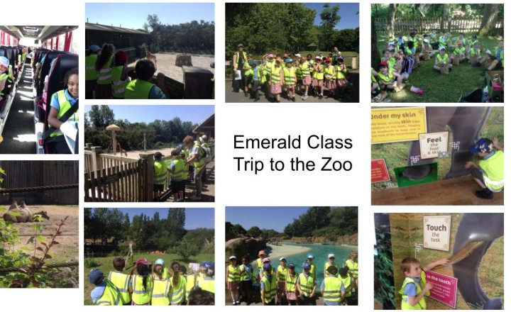 Image of Emerald Trip to the Zoo