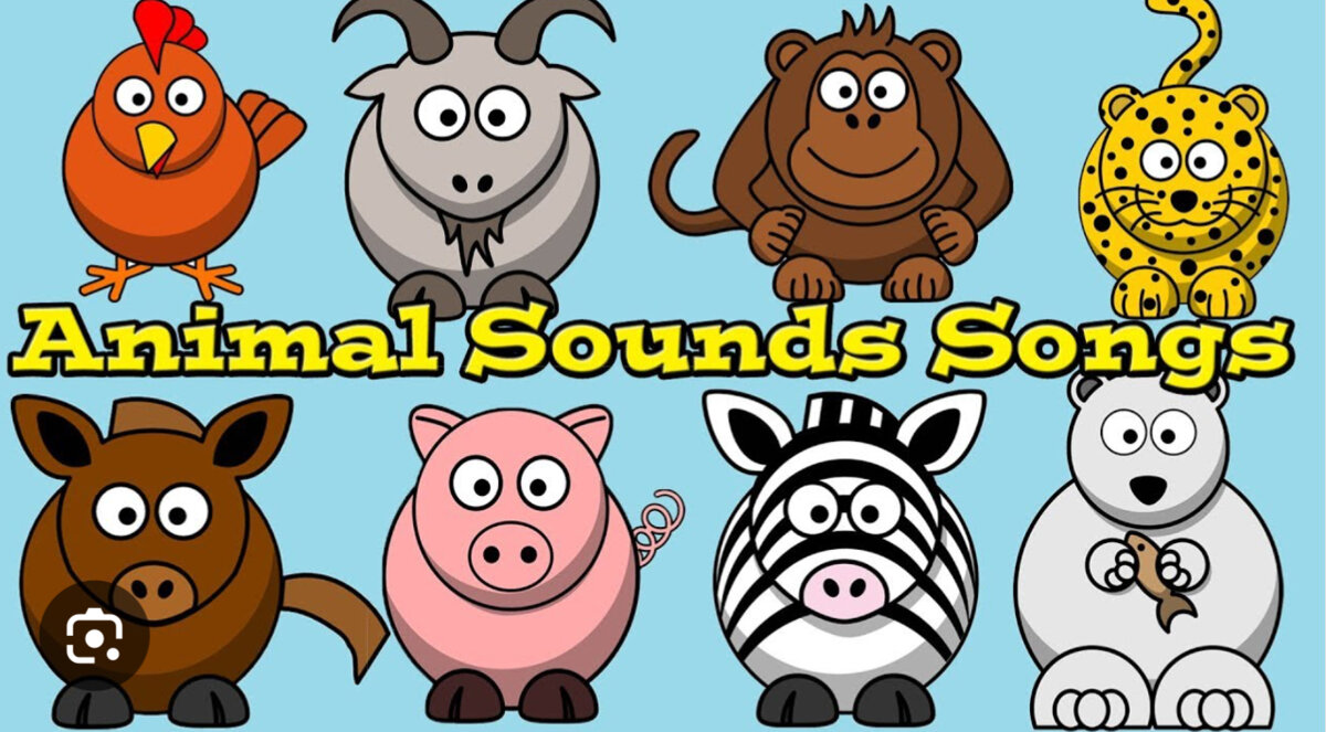 Image of Phonics - Animal Sounds