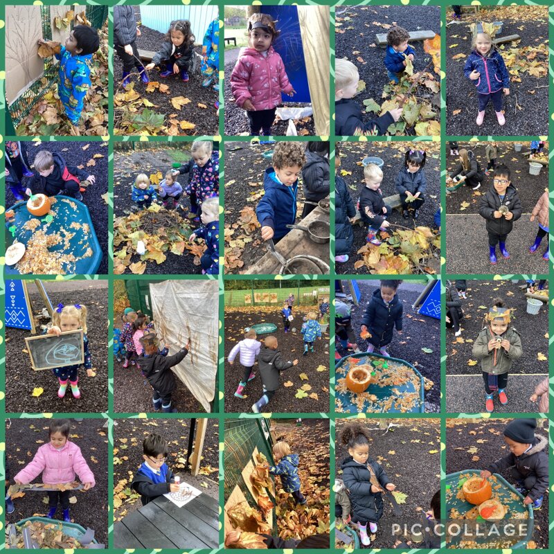 Image of Using all Our Senses in Forest School 