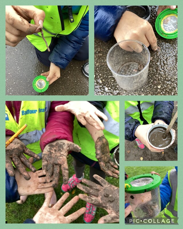 Image of Forest School - Mud and Bugs!
