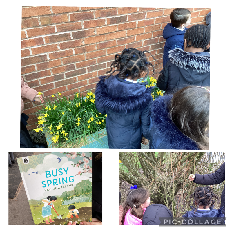 Image of A spring walk- spotting signs of spring 