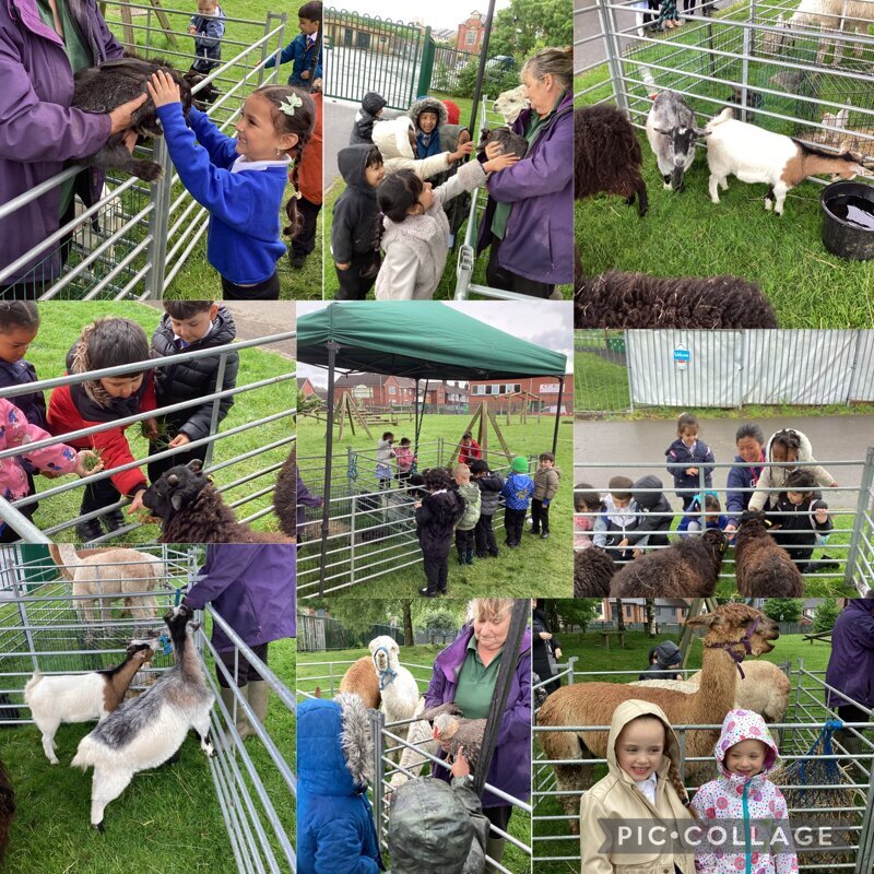 Image of Nursery - Farm comes to Waterside 