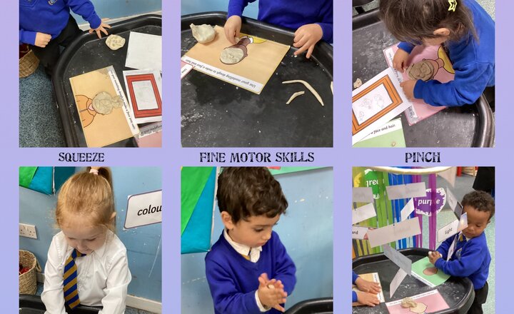 Image of Fine Motor Skills 