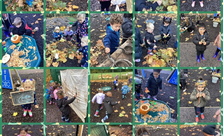 Image of Using all Our Senses in Forest School 