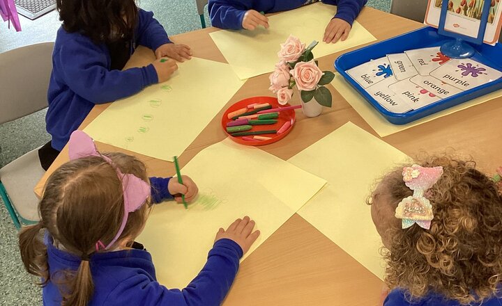 Image of Nursery Ducklings Observational Flower Pictures