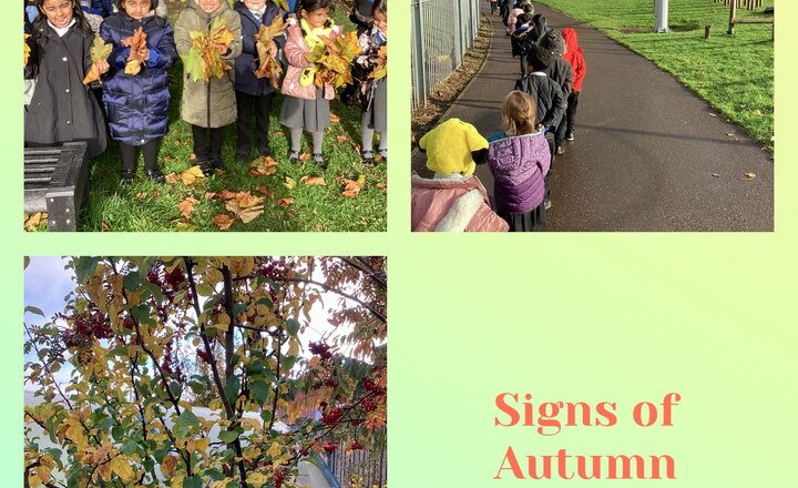 Image of Signs of Autumn- an autumn walk 