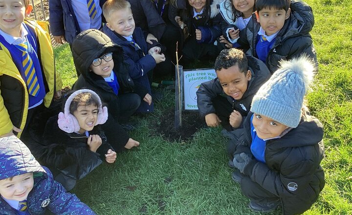 Image of Planting a tree