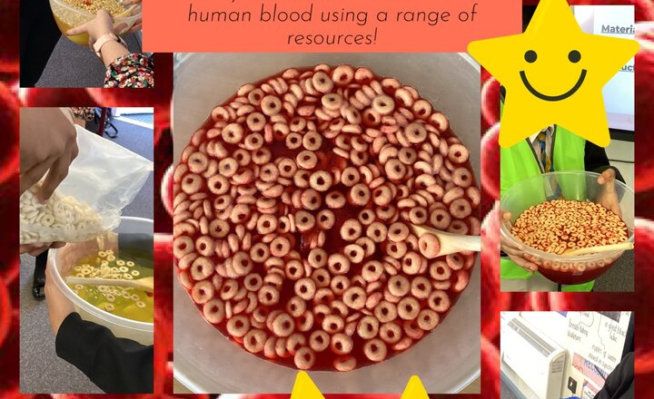 Image of Model of blood!