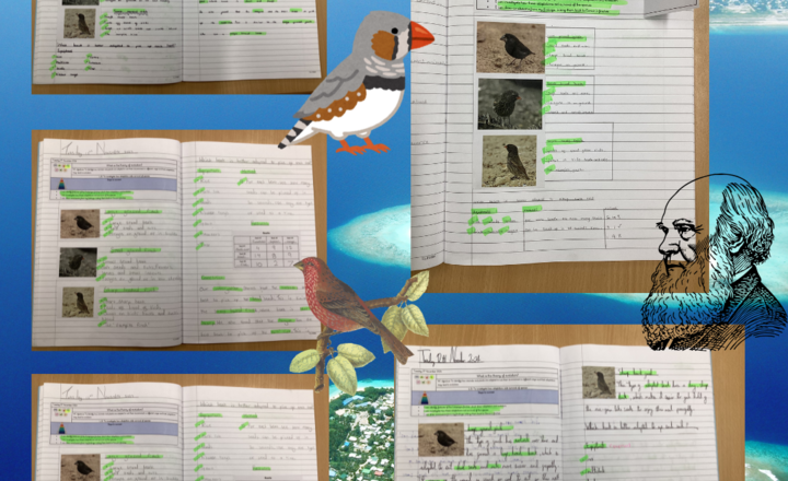 Image of Charles Darwin and his finches!