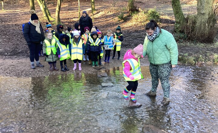 Image of Year 1 - Barlaston Downs 