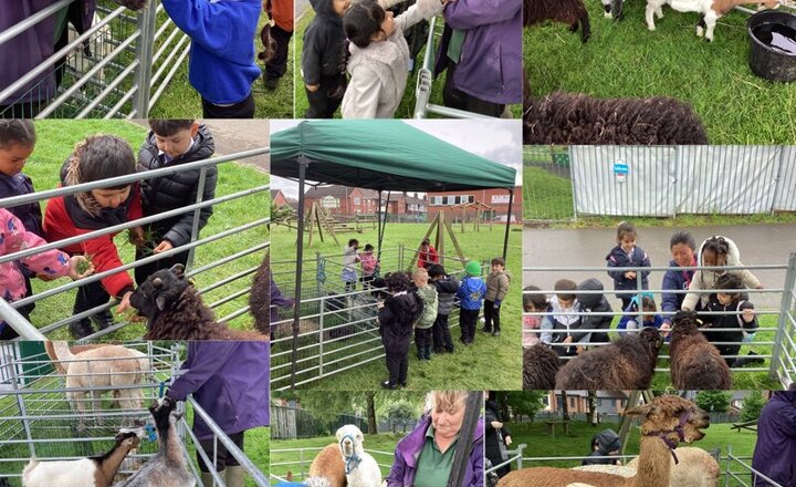 Image of Nursery - Farm comes to Waterside 