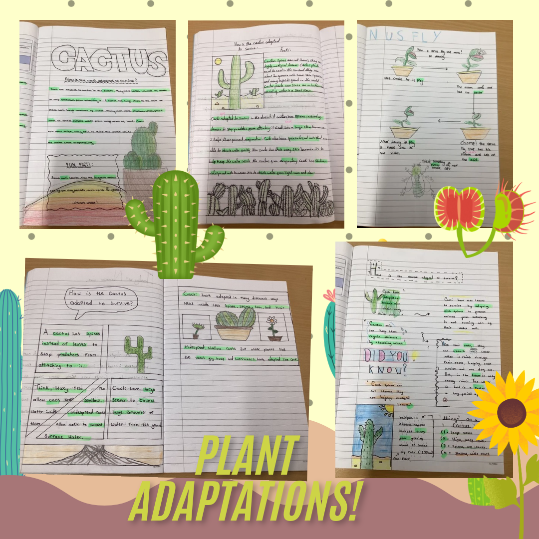 Image of Plant adaptations!