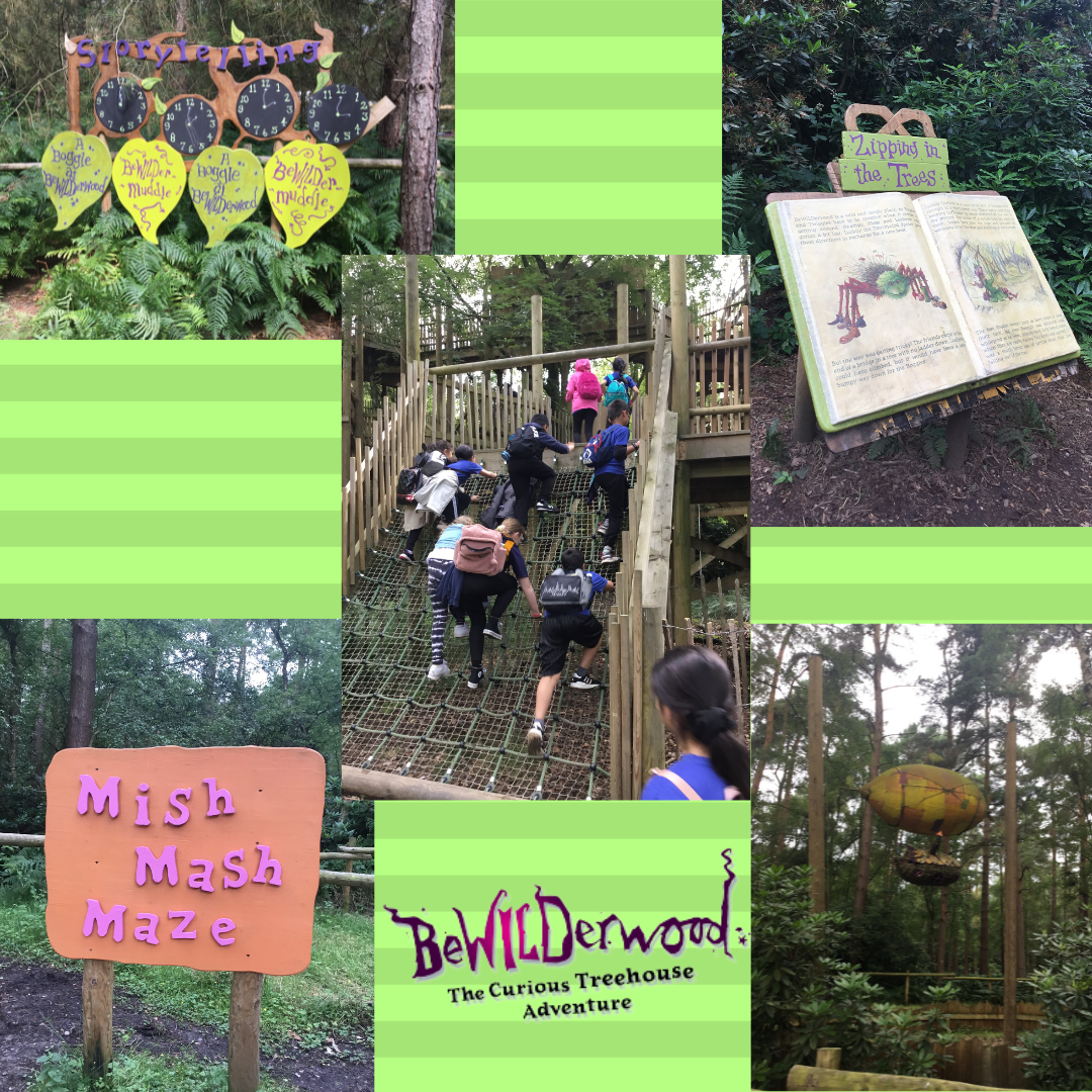 Image of BeWILDerwood Adventures!