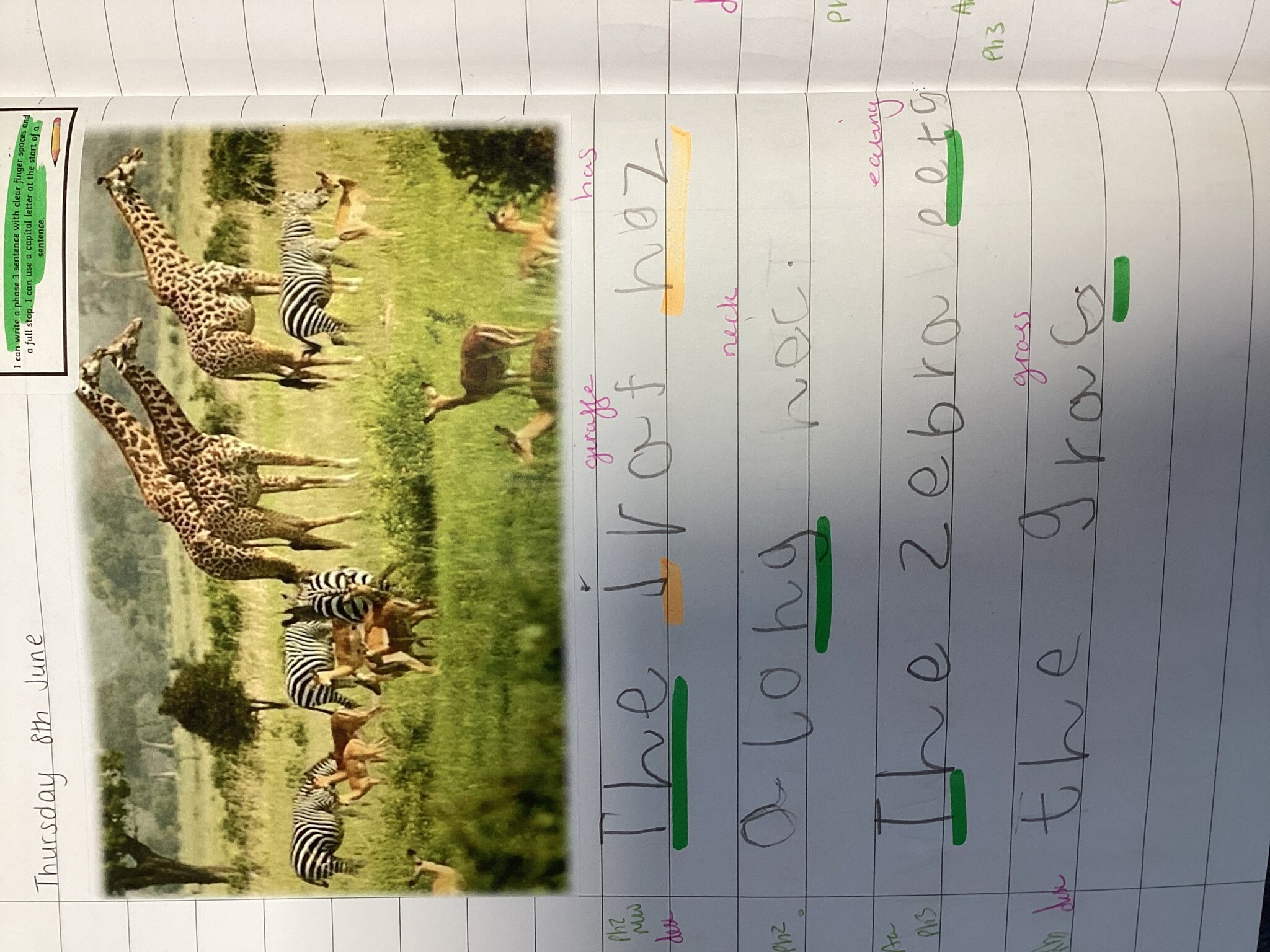 Image of Writing AL - African Animals 