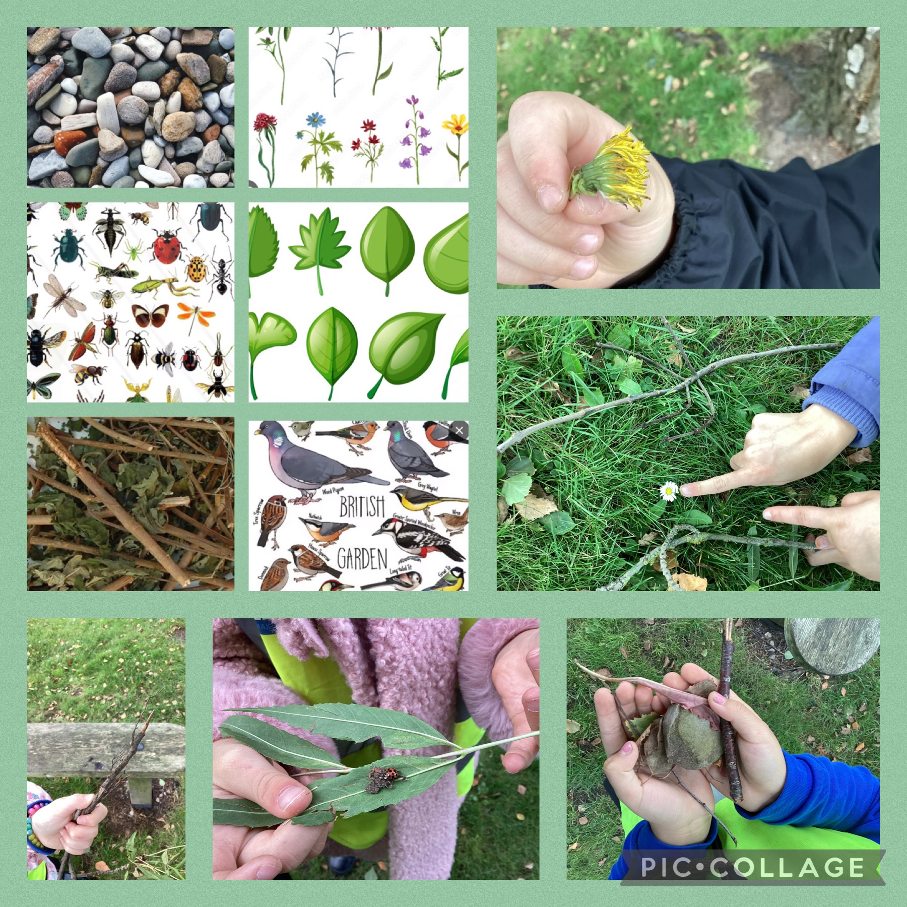 Image of Forest school, nature hunt!