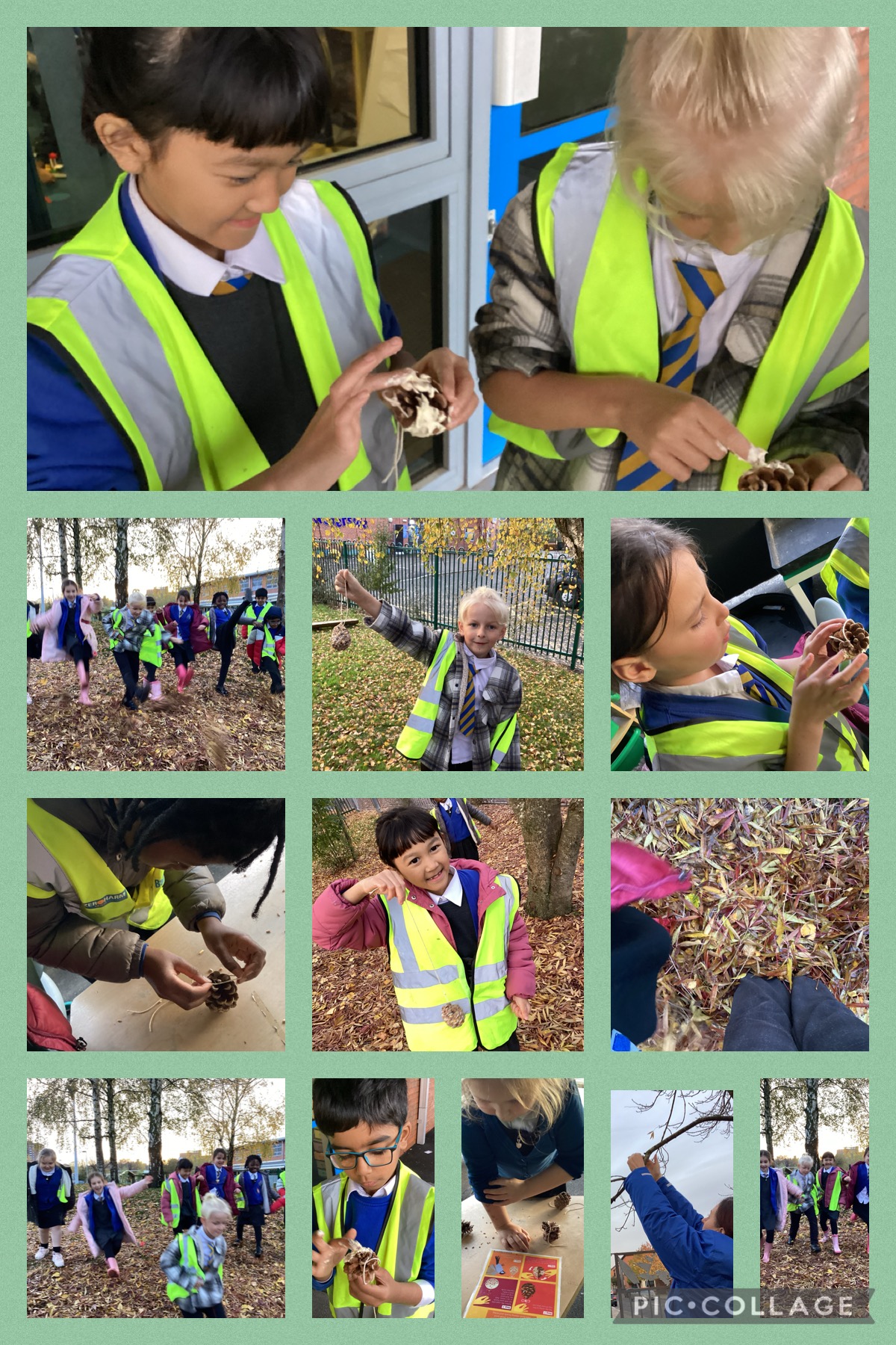 Image of Lets feed the birds!