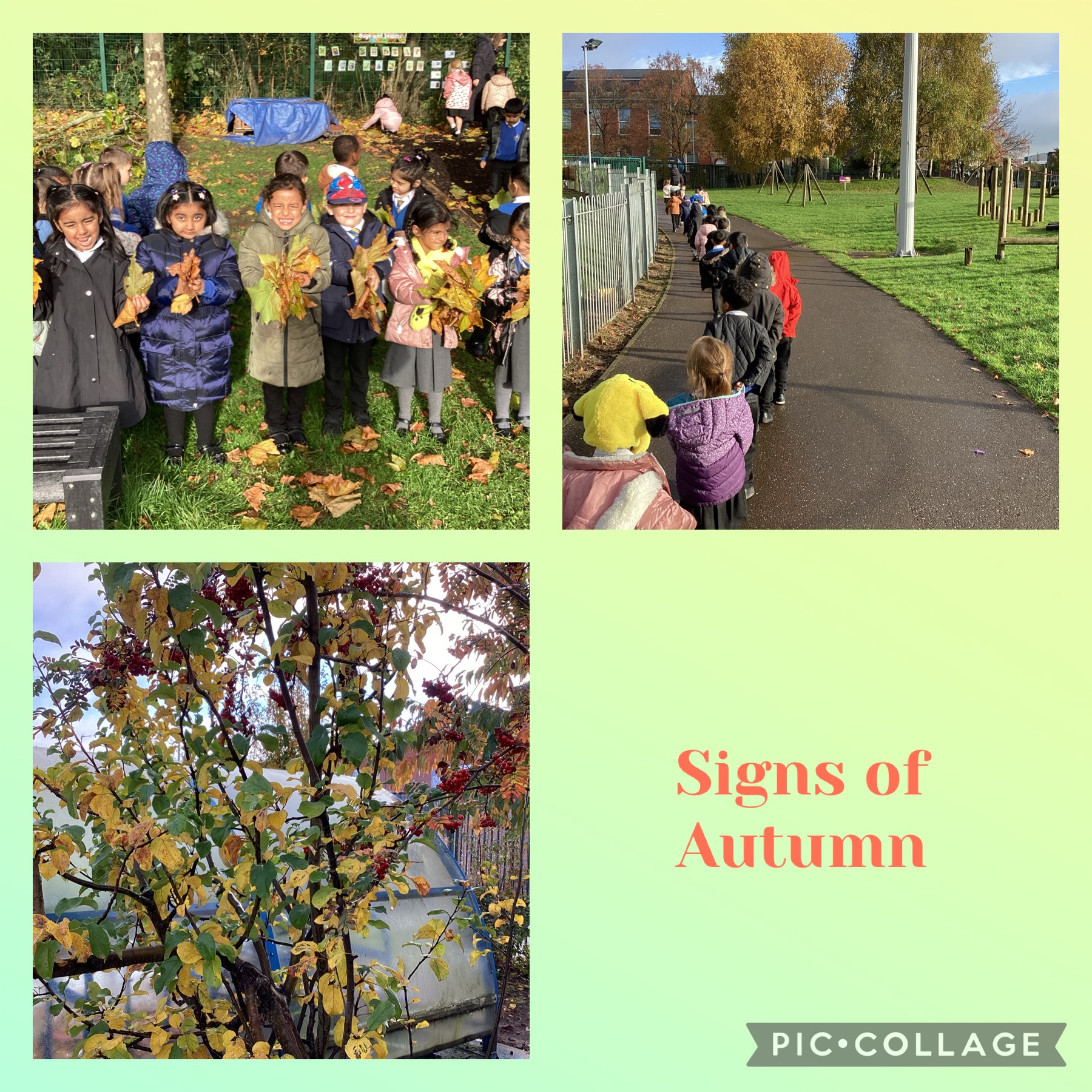 Image of Signs of Autumn- an autumn walk 