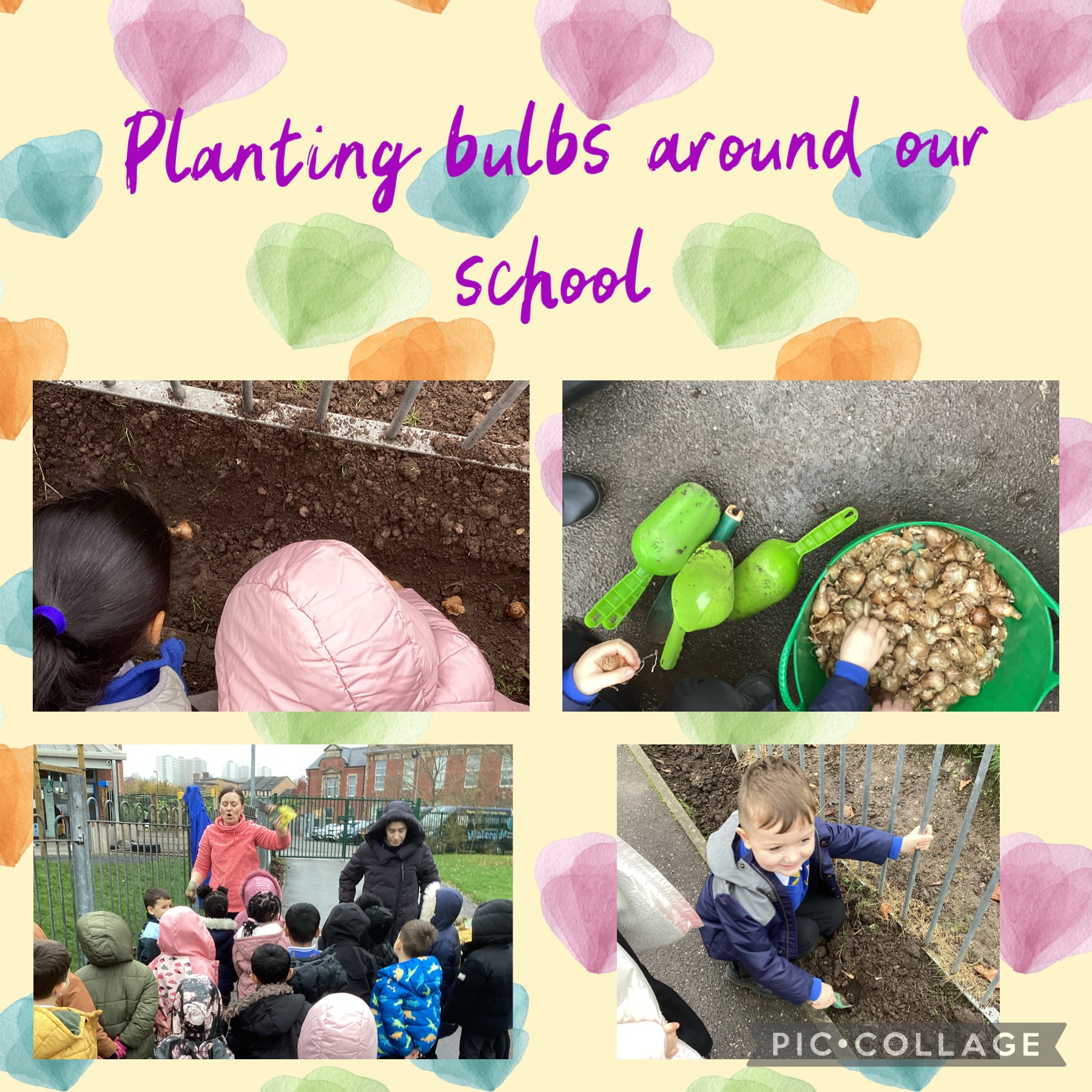 Image of Planting bulbs!