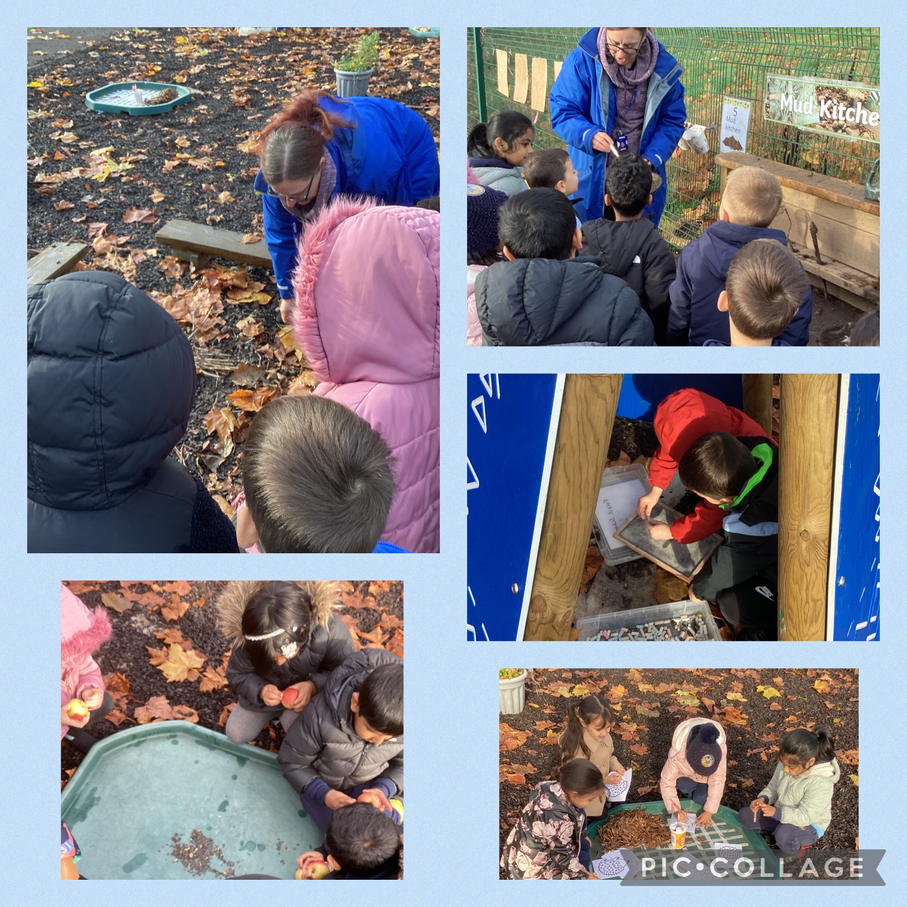 Image of Forest school fun