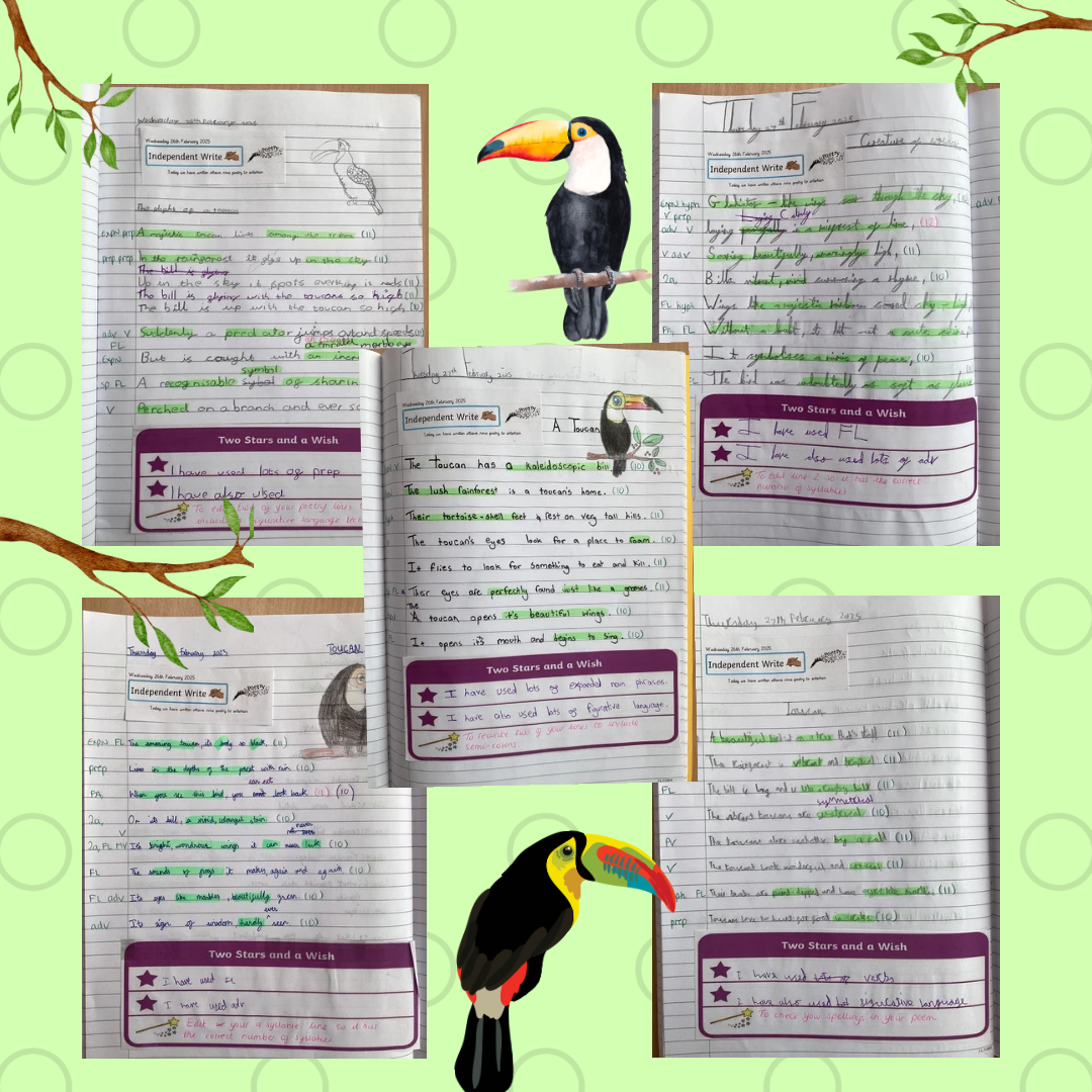 Image of Toucan poems!