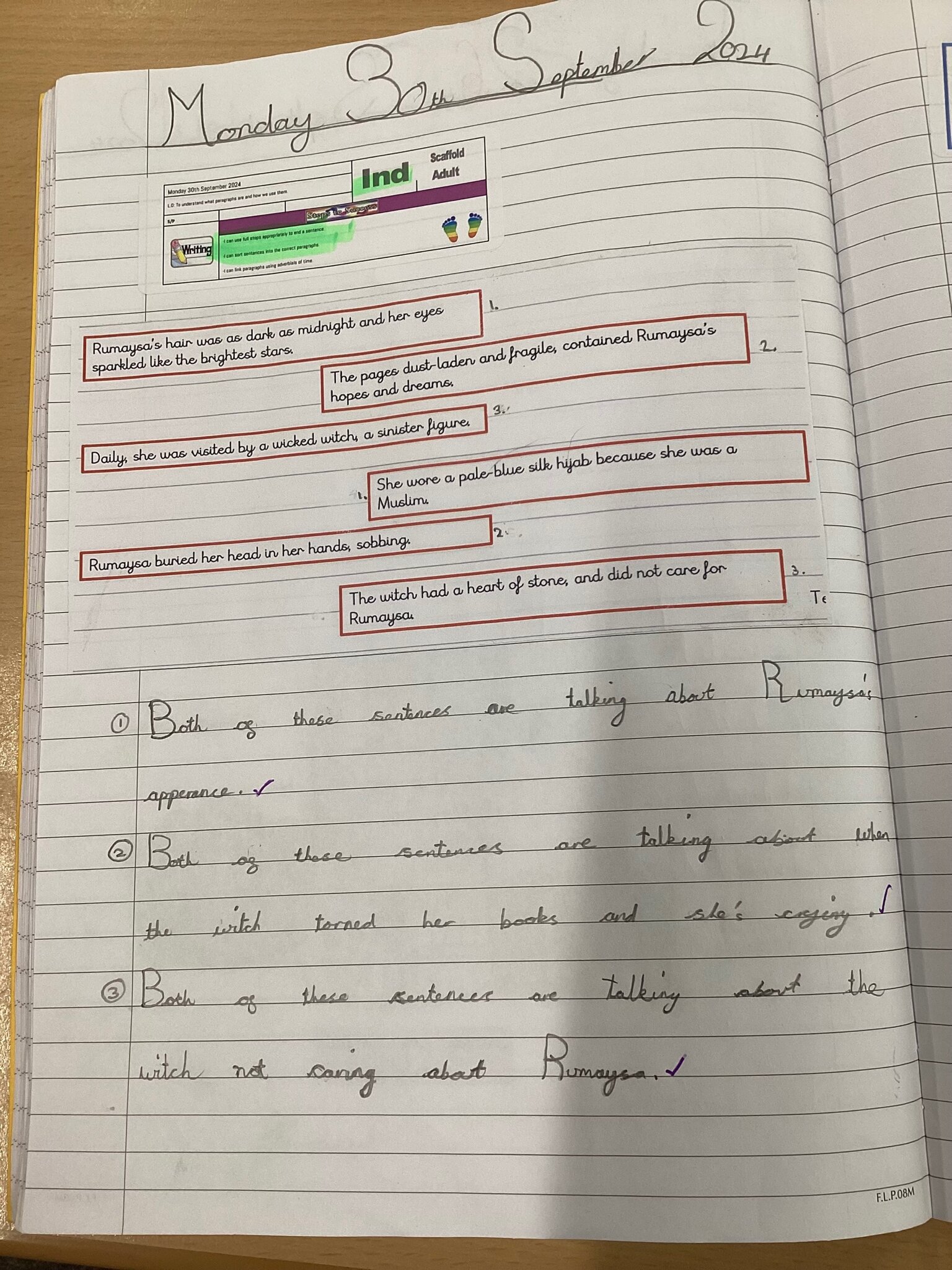 Image of Understanding paragraphs!