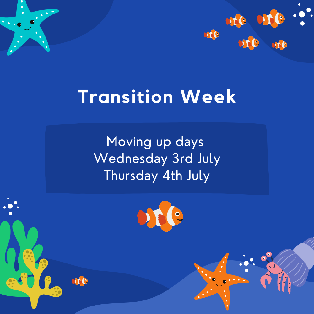 Image of Transition Week 1st - 5th July