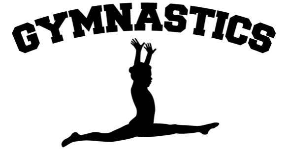 Image of Gymnasts Excel At Local Competition