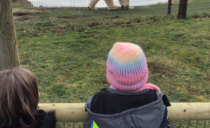 Image of Yorkshire Wildlife Park Trip