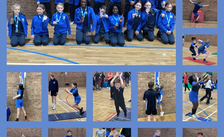 Image of Y5/6 Indoor Athletics