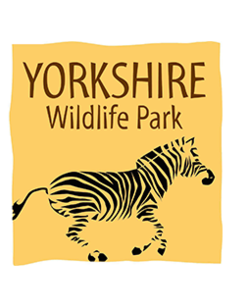 News: Year 2 | Welholme Academy