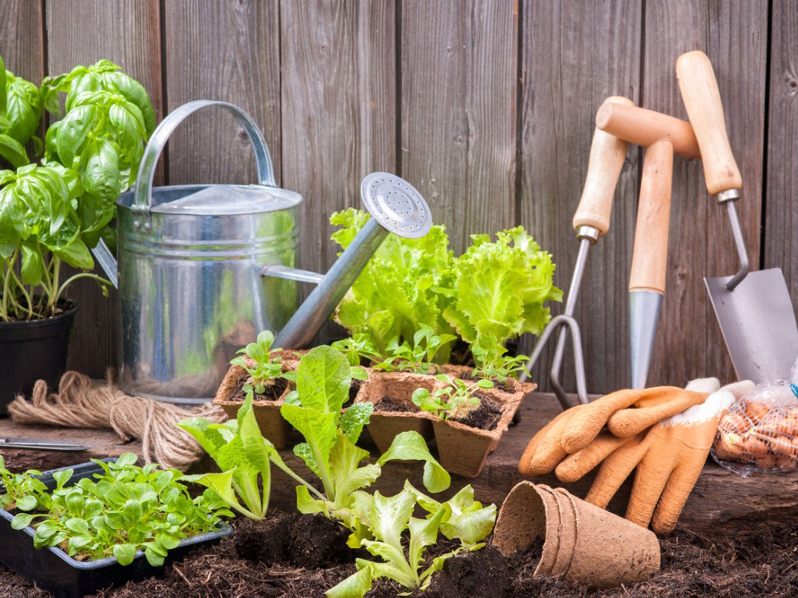 Image of Gardening