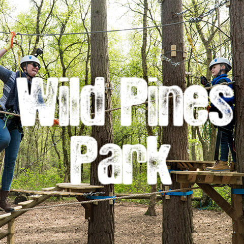 Image of Y6 Trip: Wild Pines (half of year group)
