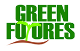 Image of Y2 Trip: Green Futures (2SB)