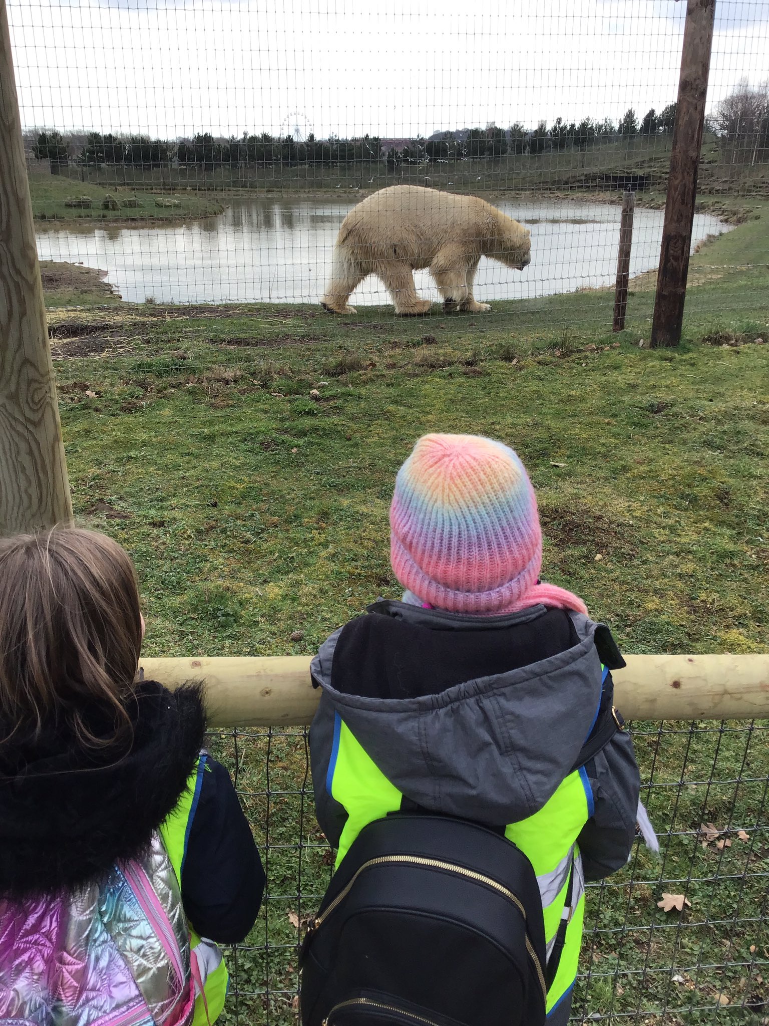 Image of Yorkshire Wildlife Park Trip