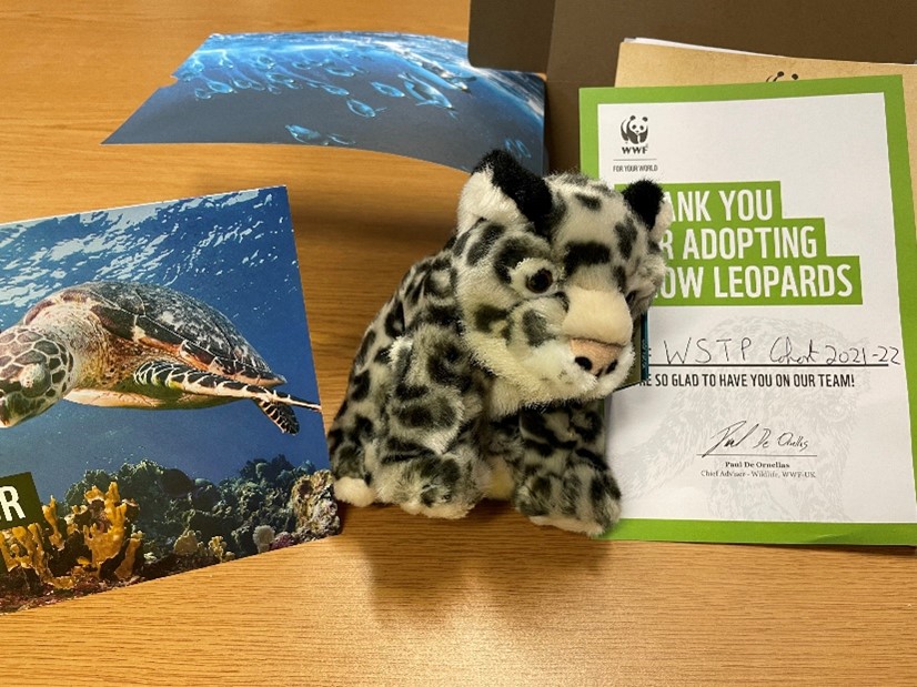 Image of WSTP adopt a snow leopard!