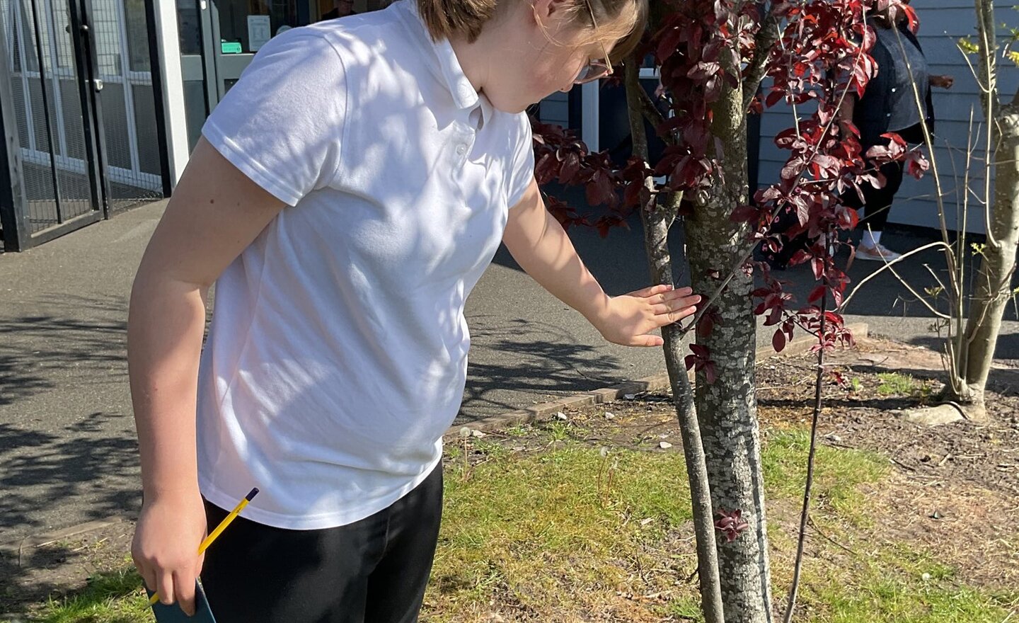 Image of KS4W Horticulture 